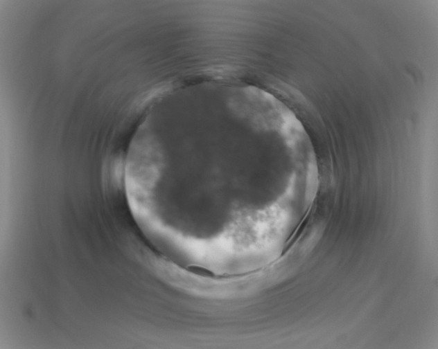 X0000113580047200910161549