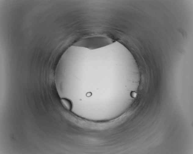 X0000113580048200910161549