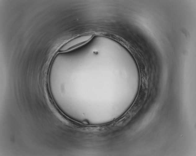 X0000113580049200910161549