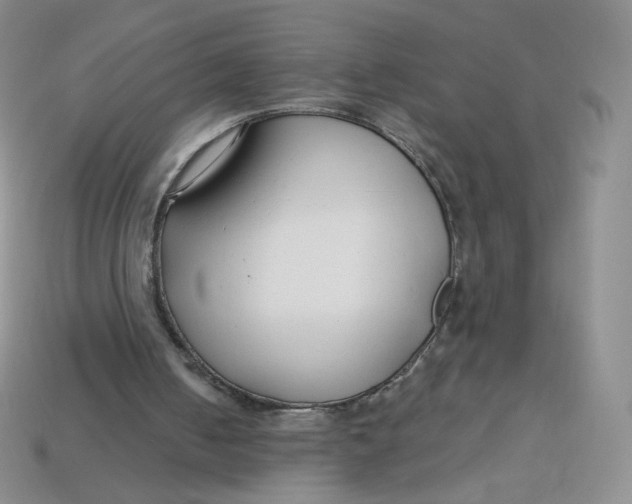 X0000113580050200910161549