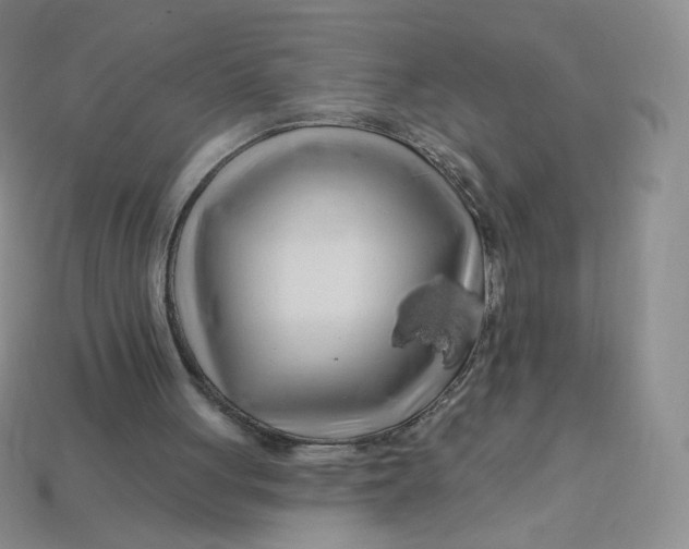 X0000113580051200910161549