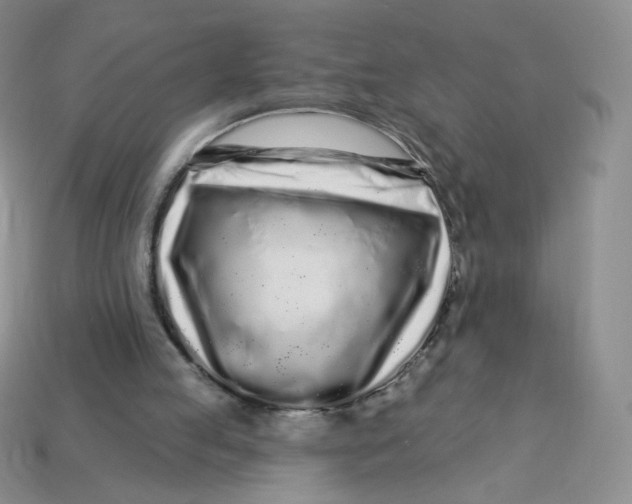 X0000113580053200910161549