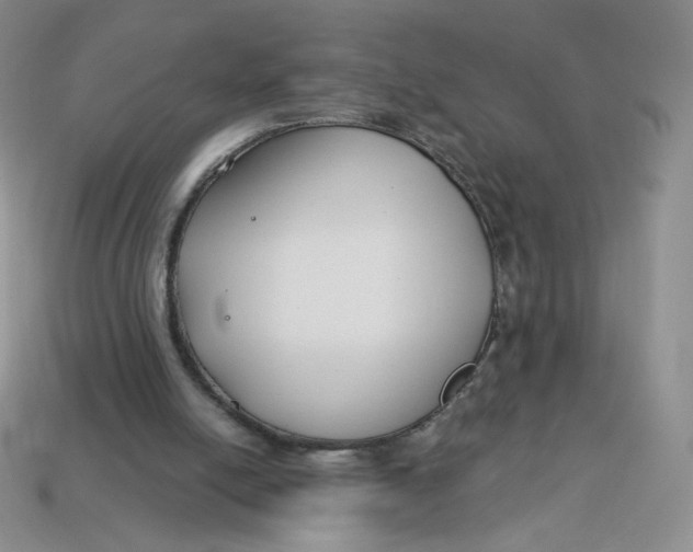 X0000113580054200910161549