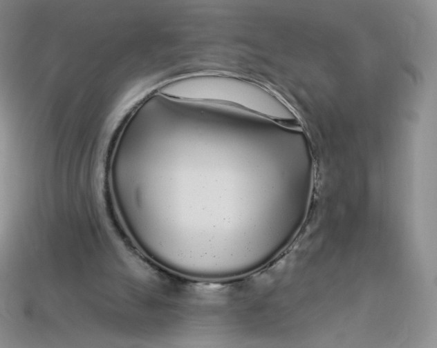 X0000113580055200910161549