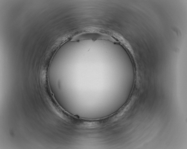 X0000113580057200910161549