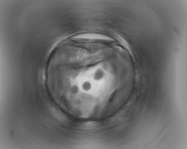 X0000113580059200910161549