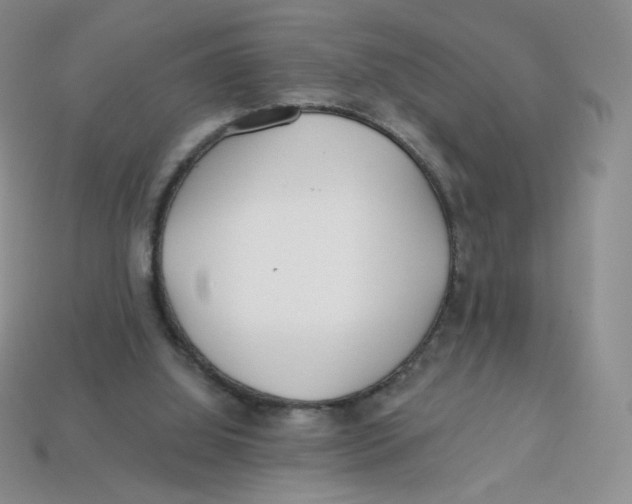 X0000113580060200910161549