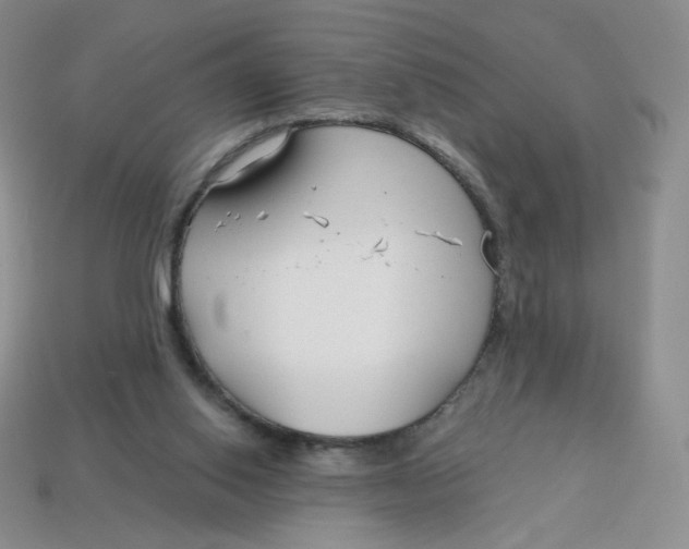 X0000113580062200910161549