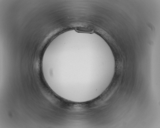 X0000113580064200910161549