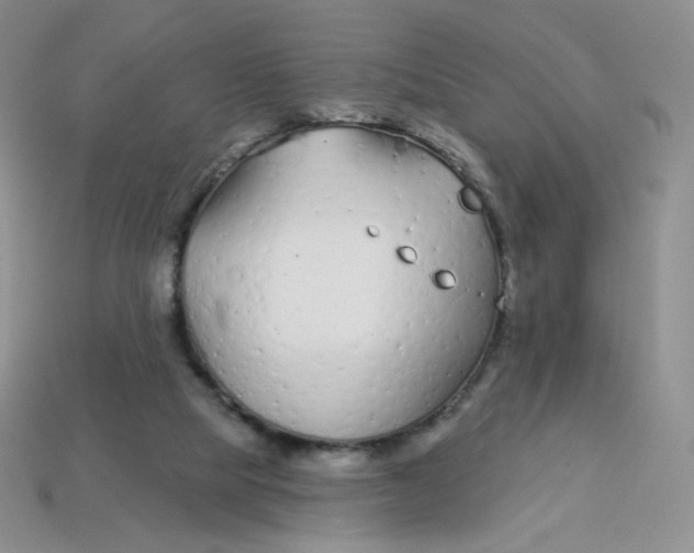 X0000113580065200910161549