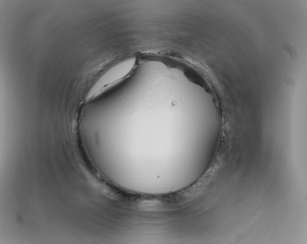 X0000113580066200910161549