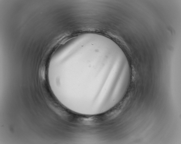 X0000113580068200910161549