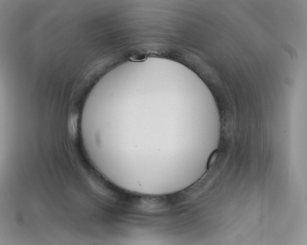 X0000113580070200910161549