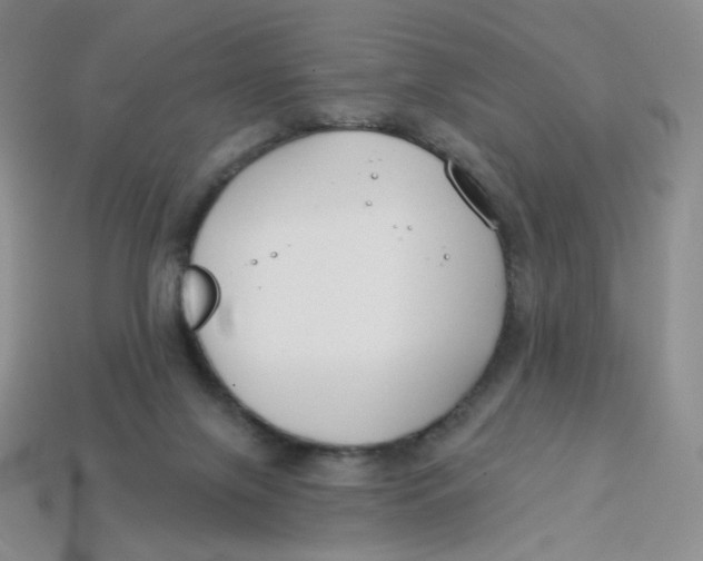 X0000113580071200910161549