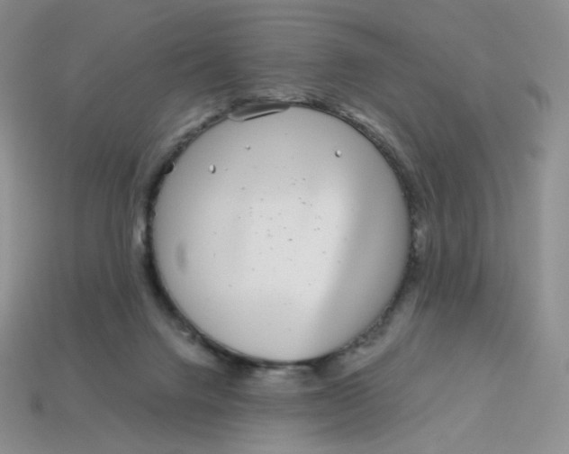 X0000113580072200910161549