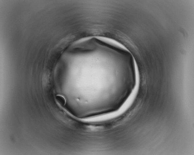 X0000113580073200910161549