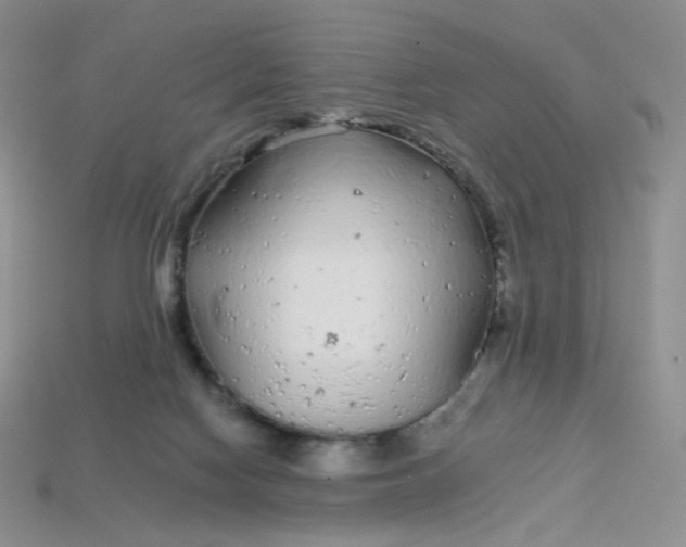 X0000113580074200910161549