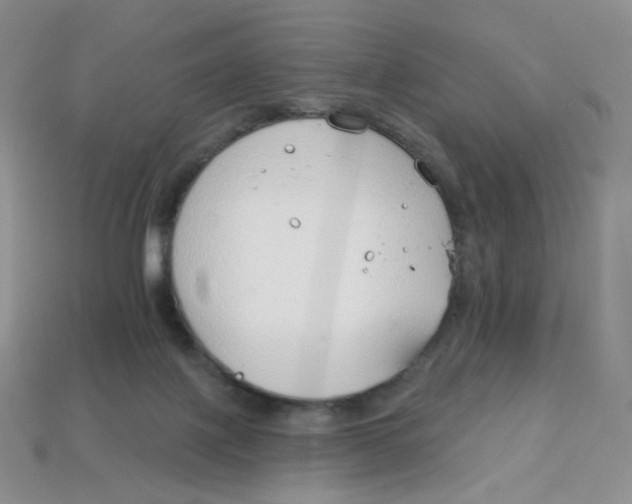 X0000113580075200910161549