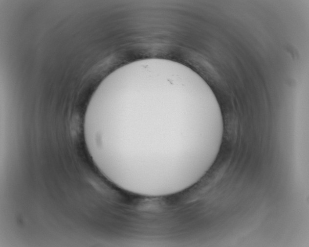 X0000113580077200910161549