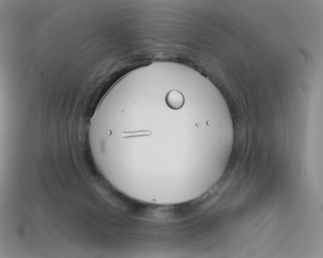 X0000113580078200910161549