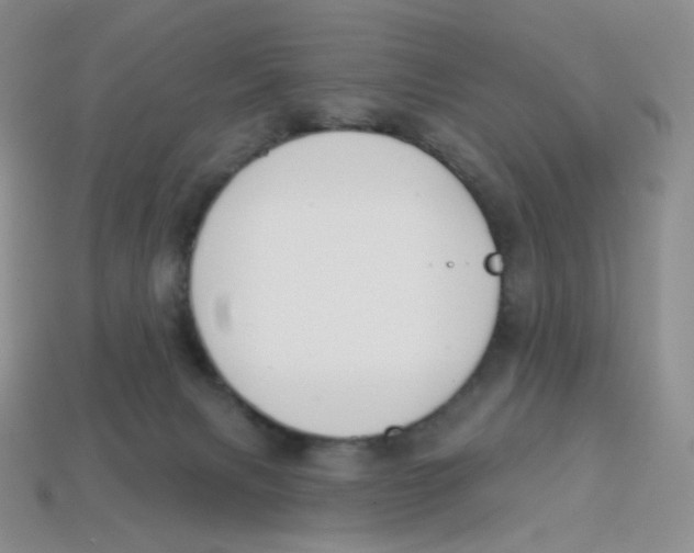 X0000113580079200910161549