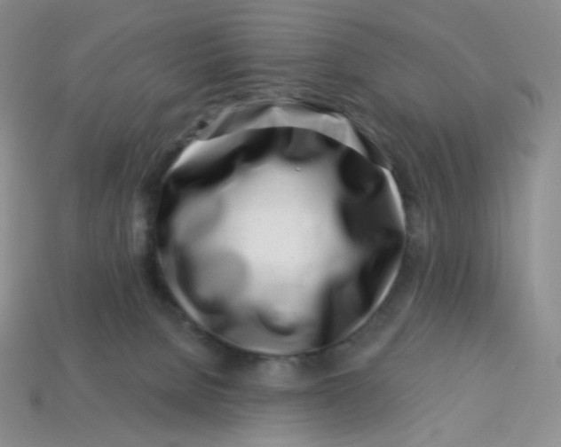 X0000113580080200910161549