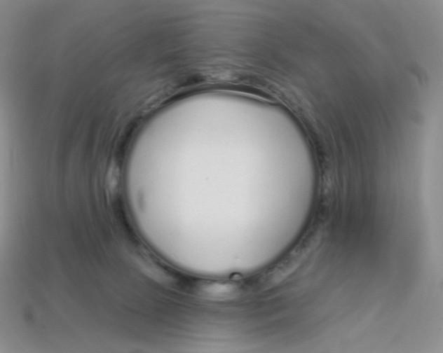 X0000113580081200910161549