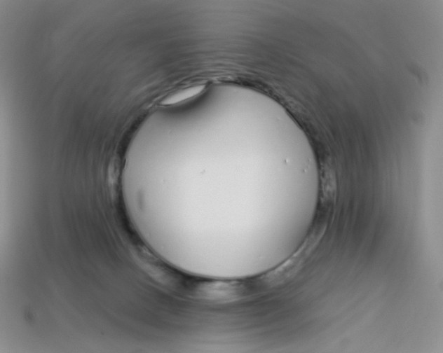 X0000113580082200910161549