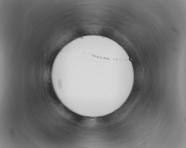 X0000113580083200910161549