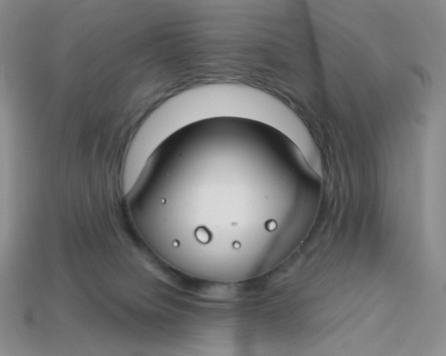 X0000113580084200910161549