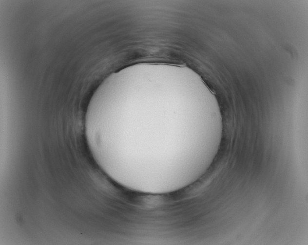 X0000113580085200910161549