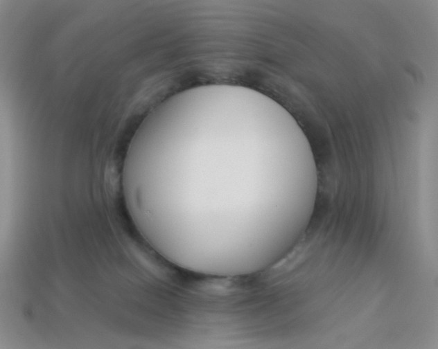 X0000113580086200910161549