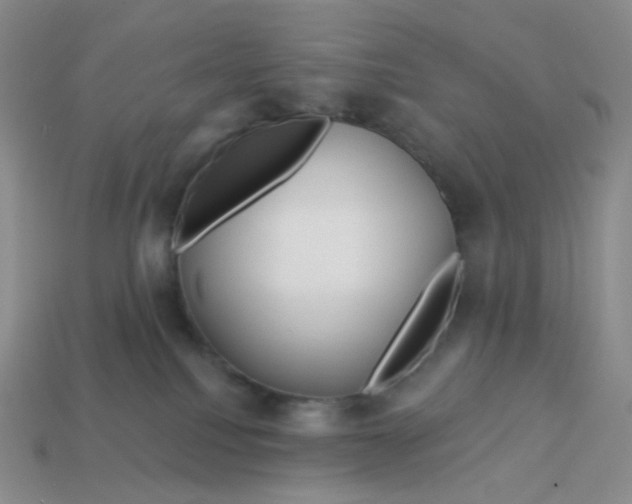 X0000113580088200910161549