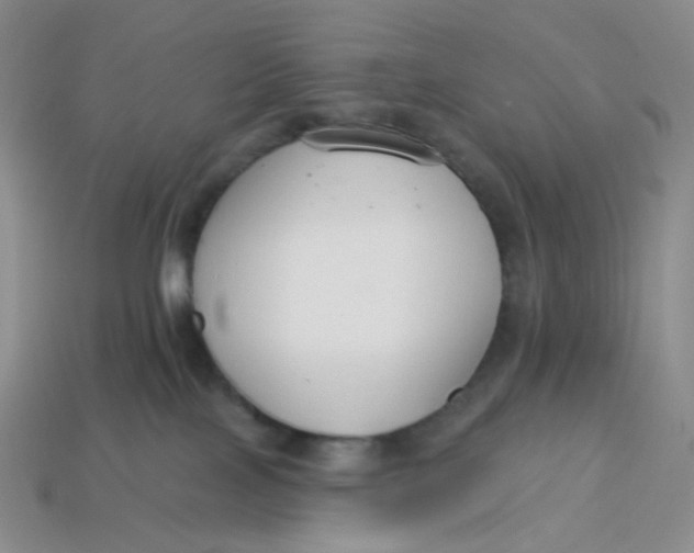 X0000113580089200910161549