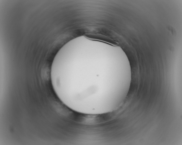 X0000113580090200910161549