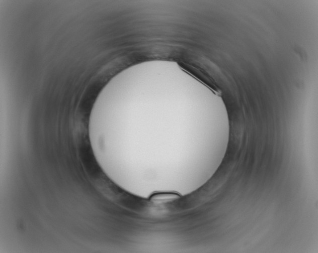 X0000113580091200910161549