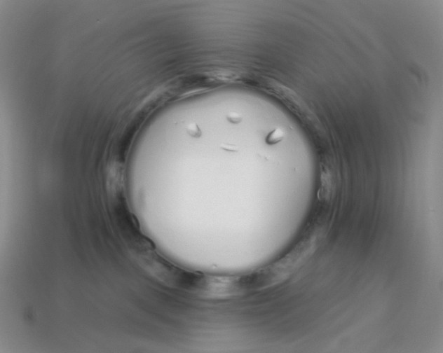 X0000113580093200910161549