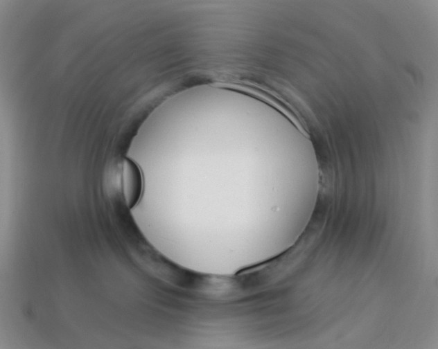 X0000113580095200910161549