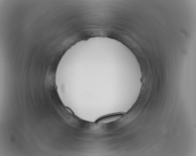 X0000113580096200910161549