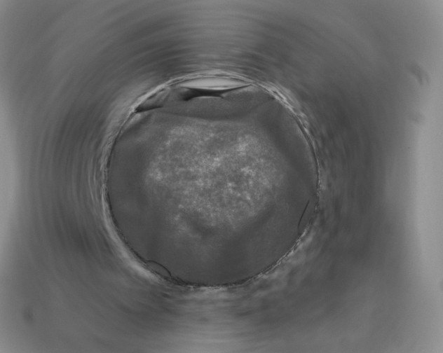 X0000113580097200910161549