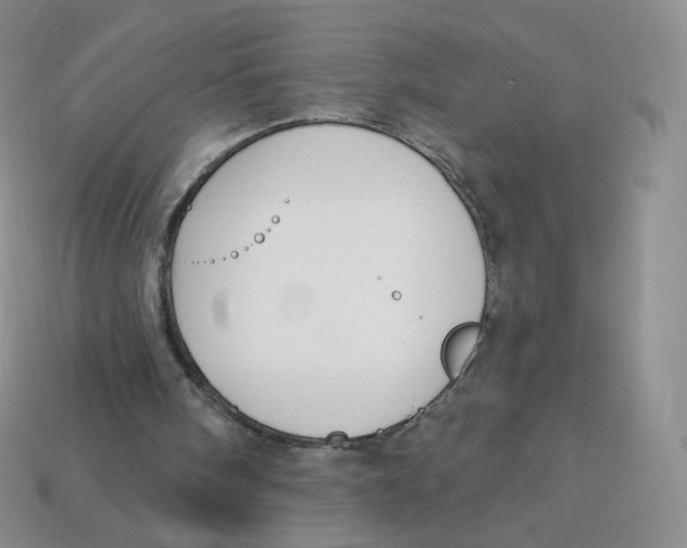 X0000113580098200910161548