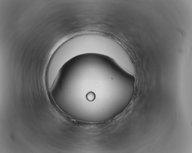 X0000113580100200910161548