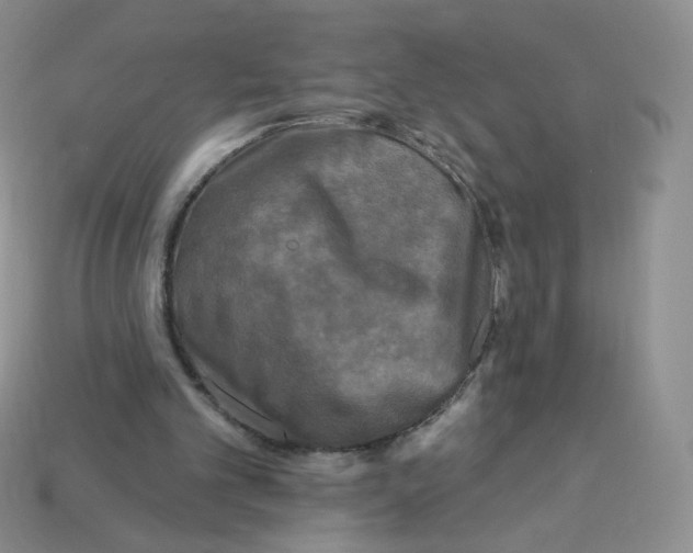 X0000113580101200910161548