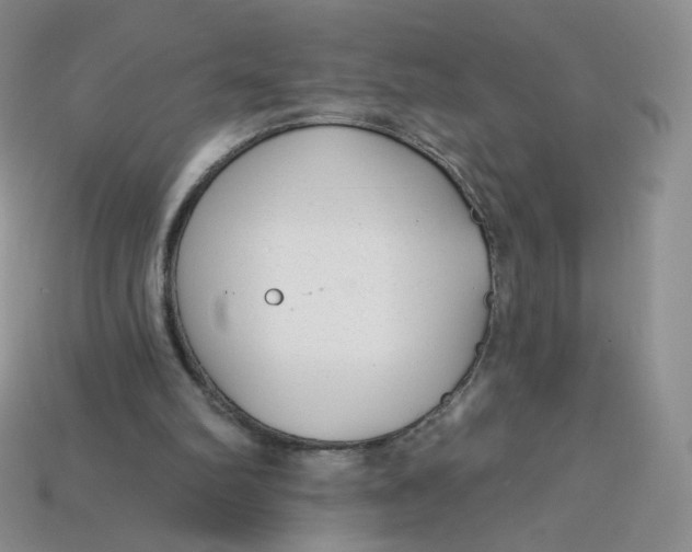 X0000113580102200910161548