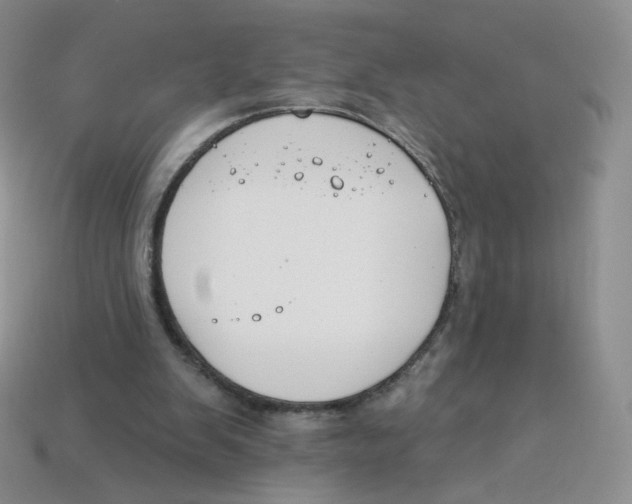 X0000113580103200910161548