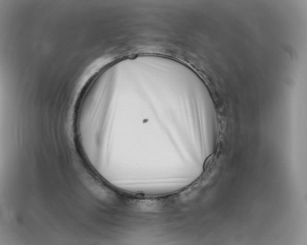 X0000113580104200910161548