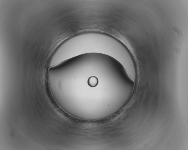 X0000113580105200910161548