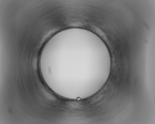 X0000113580106200910161548