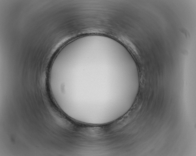 X0000113580108200910161548