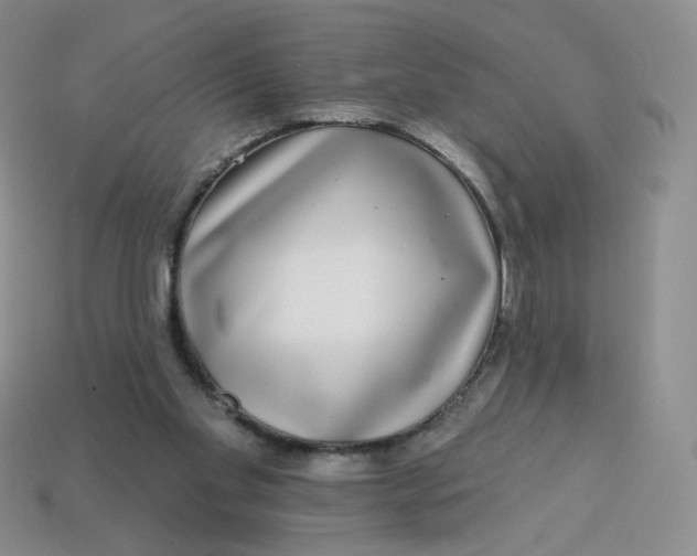 X0000113580109200910161548